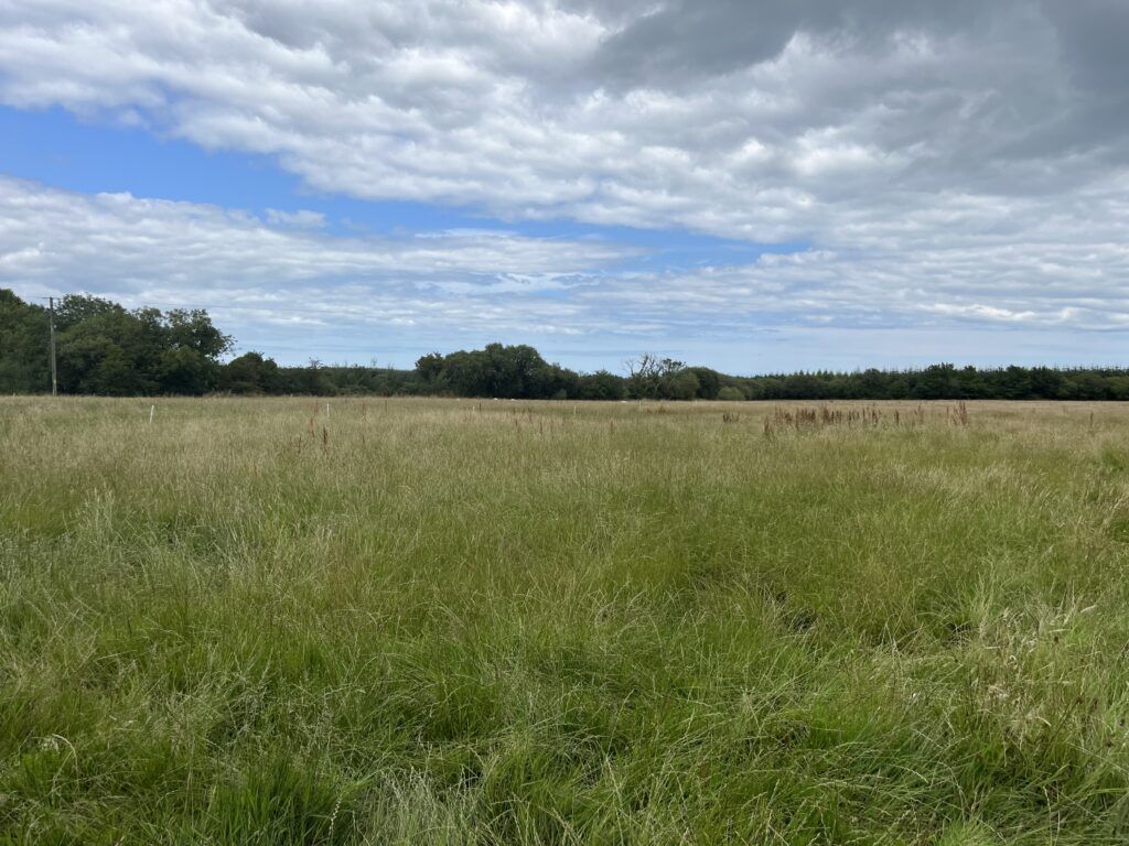 The 15-acre property sold at auction recently, Cullentra, Gorey, Co Wexford.