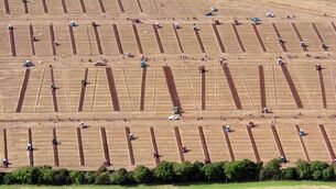 <p>Ploughing Championships 2023</p>