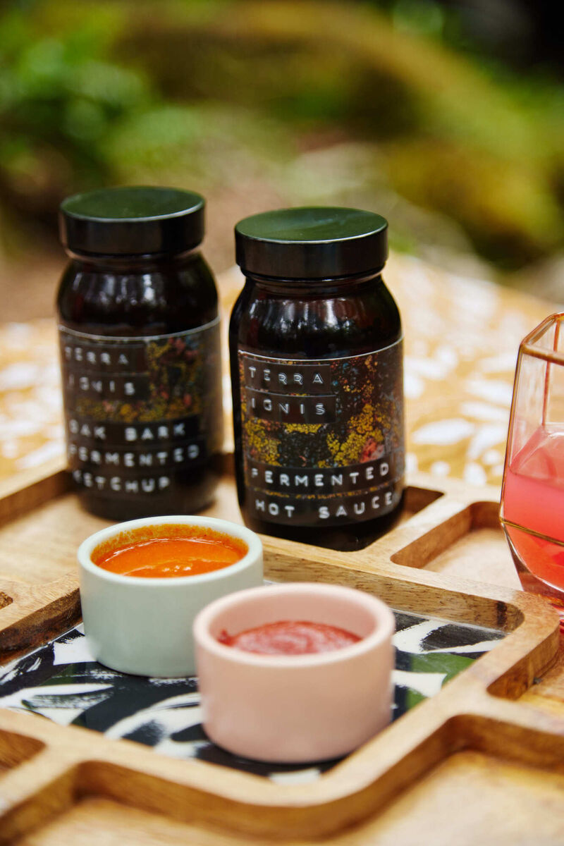  Terra Ignis ferments. Pic: Miki Barlok