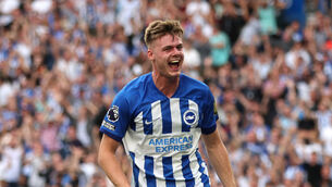 <p>Brighton and Hove Albion's Evan Ferguson is back in training.</p>