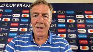 <p>JOB DONE: Donal Lenihan gives his verdict in Nantes. </p>