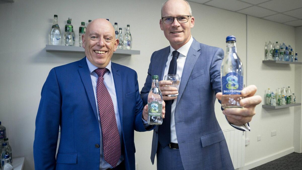 Britvic to expand Limerick plant to meet demand for Ballygowan - Vimarsana News