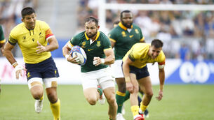 <p>FREE-SCORING: South Africa's Cobus Reinach. Pic: ©INPHO/SteveHaagSports/Steve Haag</p>