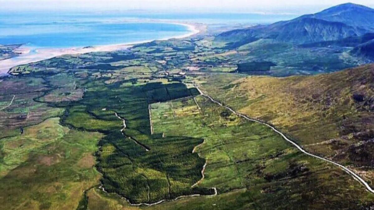Conor Pass: State is only willing to pay less than half asking price - Vimarsana News