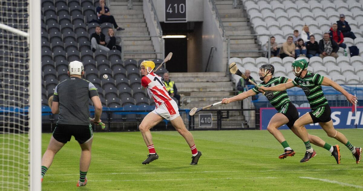 Eight talking points from the weekend's Cork hurling championship