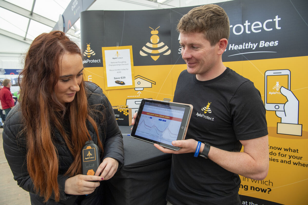 Chloe O'Connor, Cork, and Eoghan Stanton, Galway, of Apis Protect showing a monitor for science-driven healthy bees in the Innovation Ireland stand at the 2022 National Ploughing Championships, Ratheniska, Co Laois. Picture:  Dan Linehan