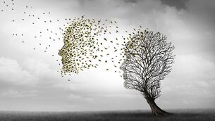 <p>The best estimates available suggest that 100,000 of us will have dementia in 10 years’ time, 150,000 of us in 20 years.</p>