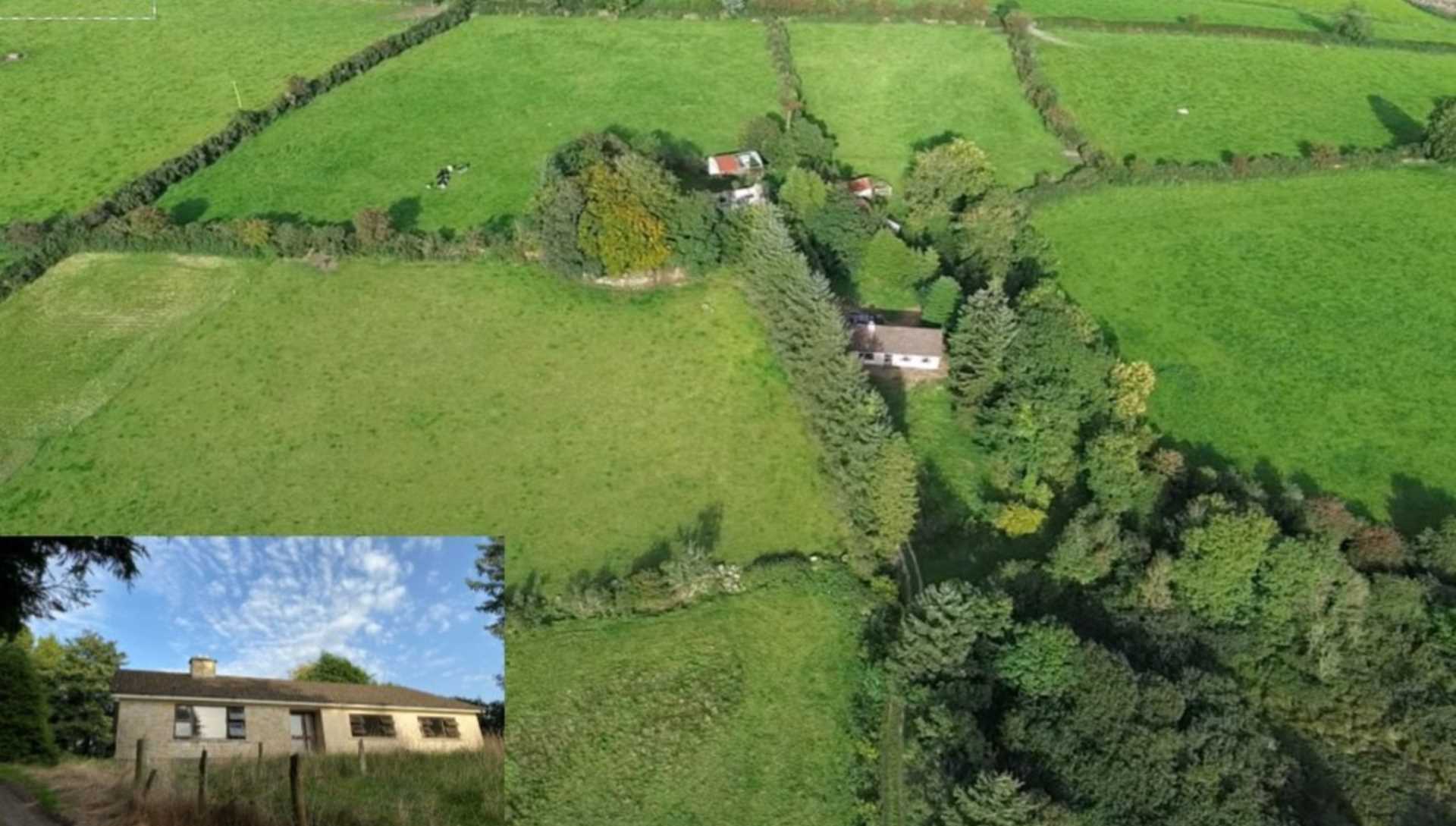 83-acre Carlow farm tempting value in October online auction