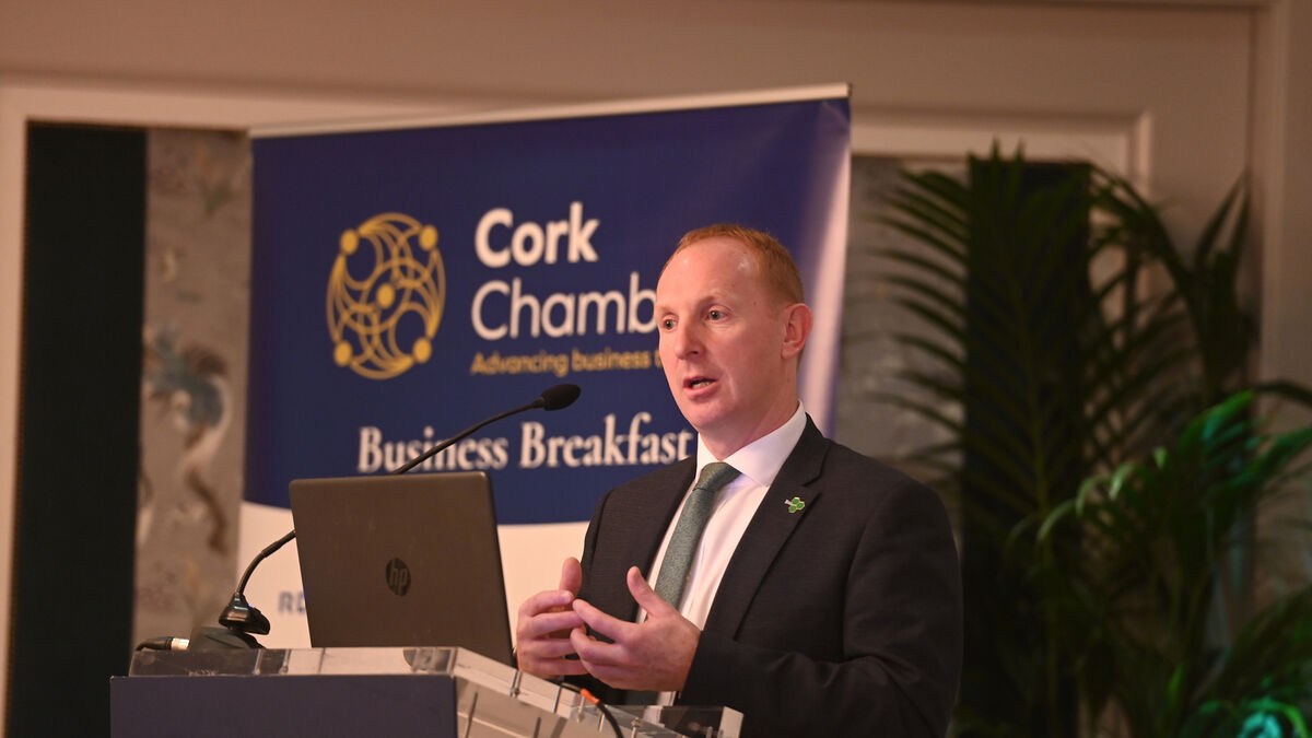 Ireland has failed to grow its energy supply network — IDA - Vimarsana News