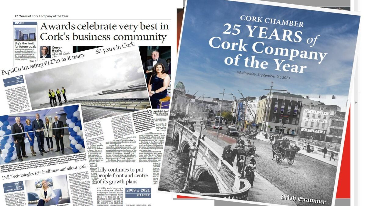Cork Company of the Year @ 25: Insights into award winners - Vimarsana News