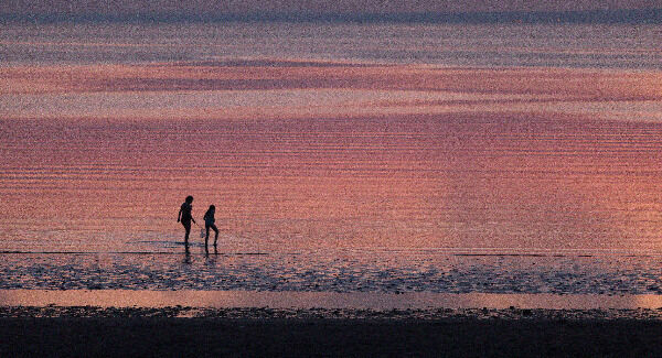 Collecting sea creatures at twilight, Traught Beach, Co Galway. Picture: Eamon Ward Collecting sea creatures at twilight, Traught Beach, Co Galway. Picture: Eamon Ward