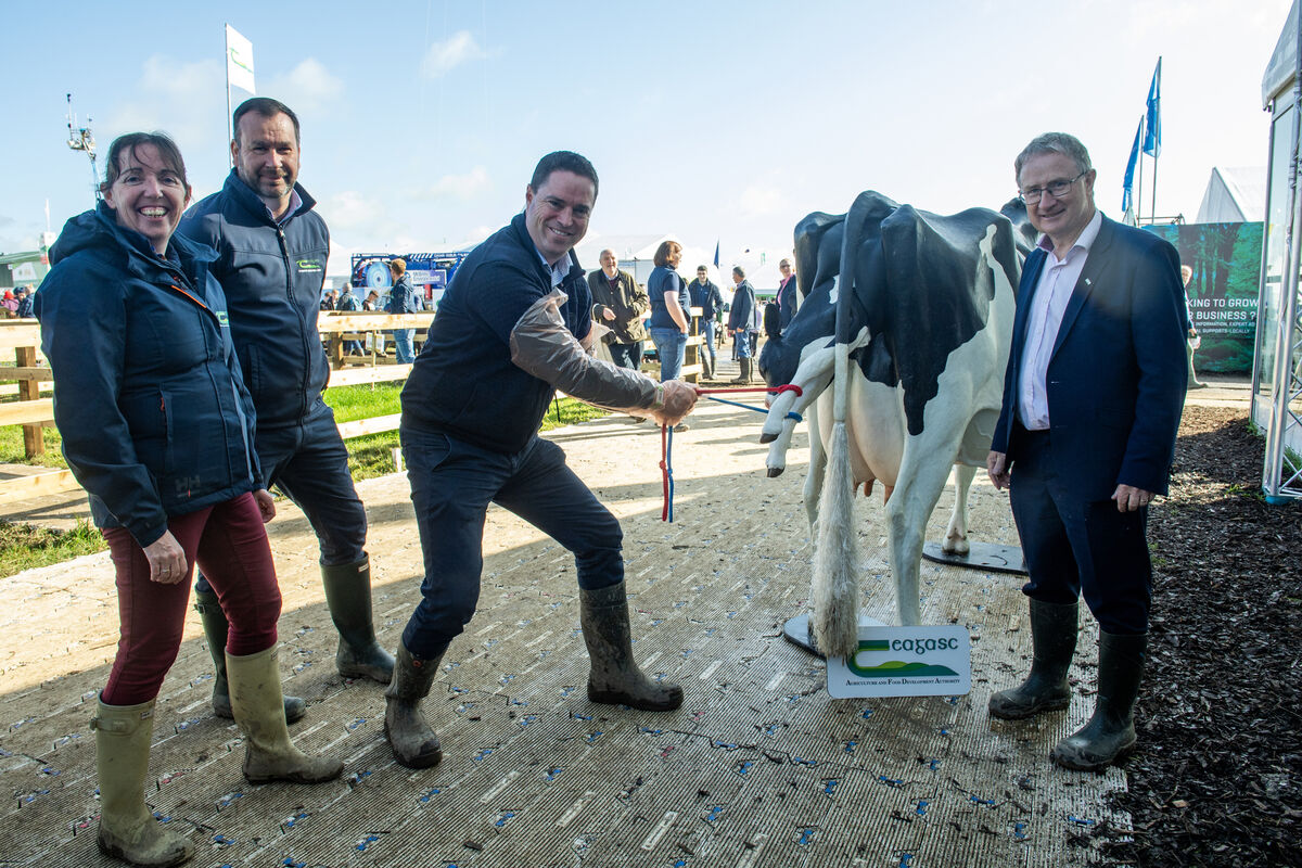 Martin Heydon, Department of Agriculture, calves  a cow from the School of Agriculture, Clonakilty, at the Teagasc stand, with Ann Marie Butler of Teagasc, Jonathan Kenneally, Clonakilty Agricultural College, and Teagasc director Frank O’Mara. Picture: Dan Linehan