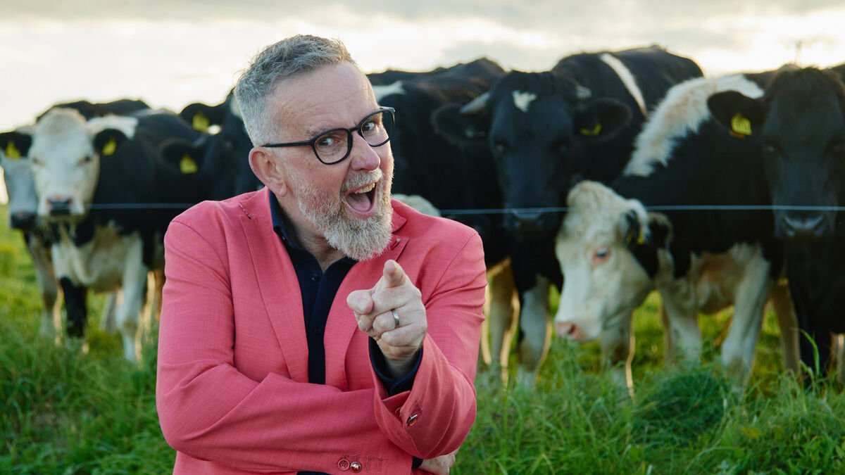 Why Reggie from the Blackrock Rd has decided to run for President of Ireland - Vimarsana News