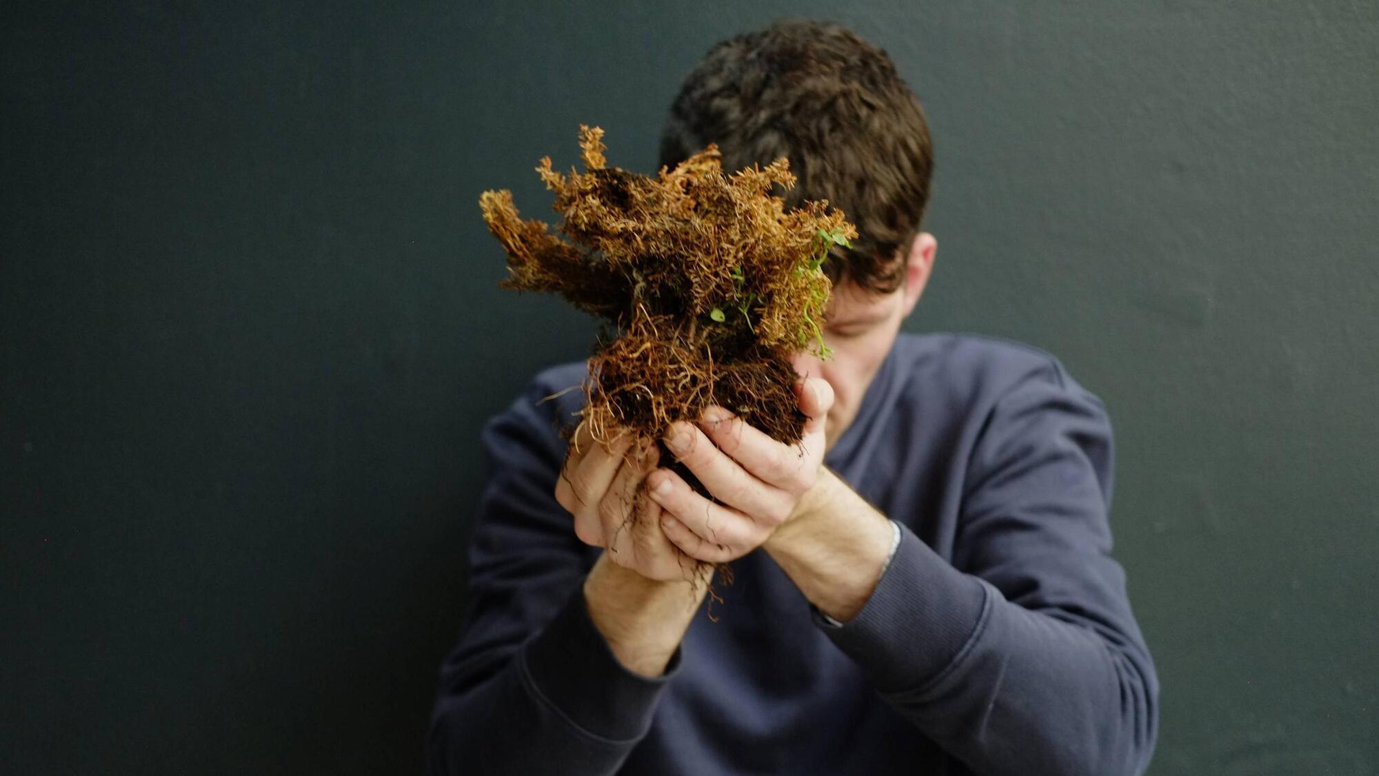 Luke Casserly: Dublin Theatre Festival show brings common scents to Ireland's peat story 