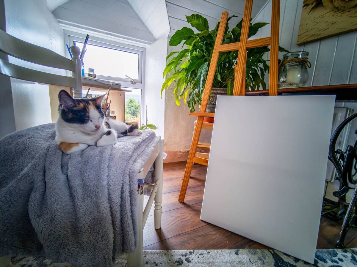Steffi's easel, canvas and cat rest on the newly renovated landing at her home. Steffi's easel, canvas and cat rest on the newly renovated landing at her home.