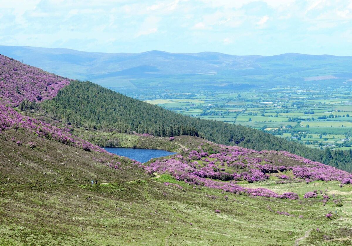 Beautiful scenery at The Vee in the Knockmealdown Mountains. Picture: Denis Minihane.