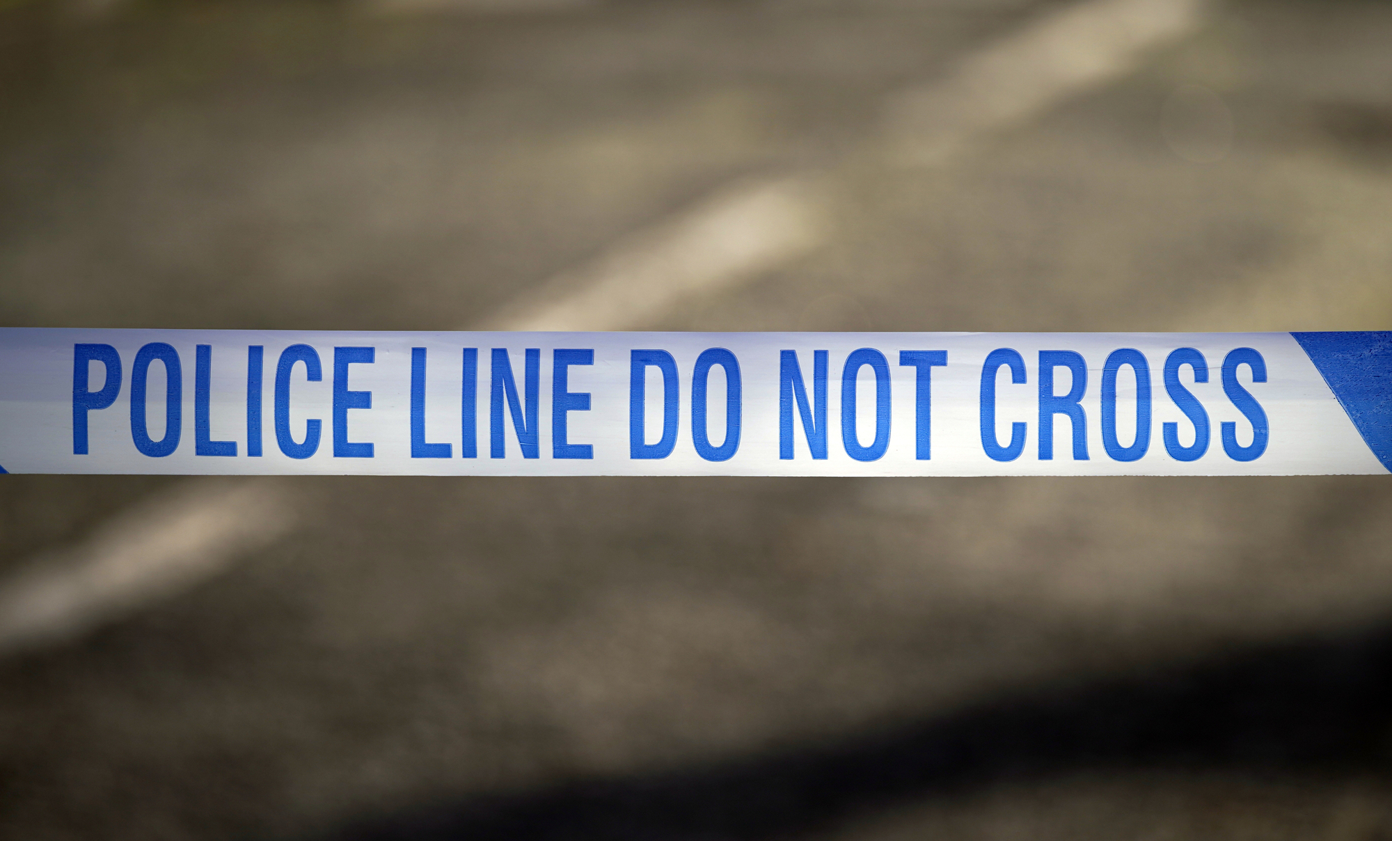 Man taken to hospital after suspected American XL bully dog attack in ...