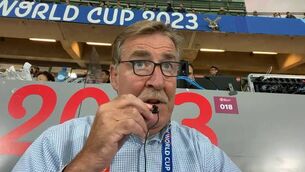 <p>Donal Lenihan in the stands at the Stade de France. </p>