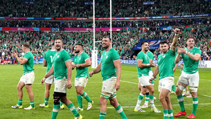<p>BITTERSWEET? Ireland team applaud the fans after the final whistle.</p>