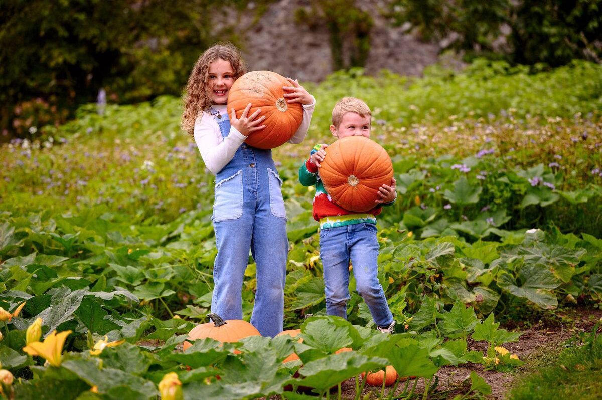 Halloween Trail for Families at Mount Congreve Gardens, Waterford