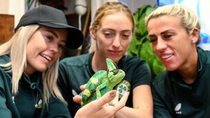 <p>KARMA CHAMELEON: Denise O'Sullivan, Megan Connolly, and Savannah McCarthy with Flash, a chameleon, at Zoo Café in Budapest, Hungary, during some down time ahead of their Uefa Women's Nations League B1 match against Hungary, on Tuesday. Pic: Stephen McCarthy/Sportsfile</p>