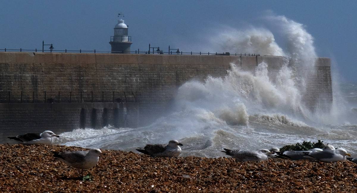 Storm Agnes to bring 'damaging winds' as orange alerts issued for eight counties