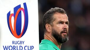 <p>SMARTS: Ireland head coach Andy Farrell</p>