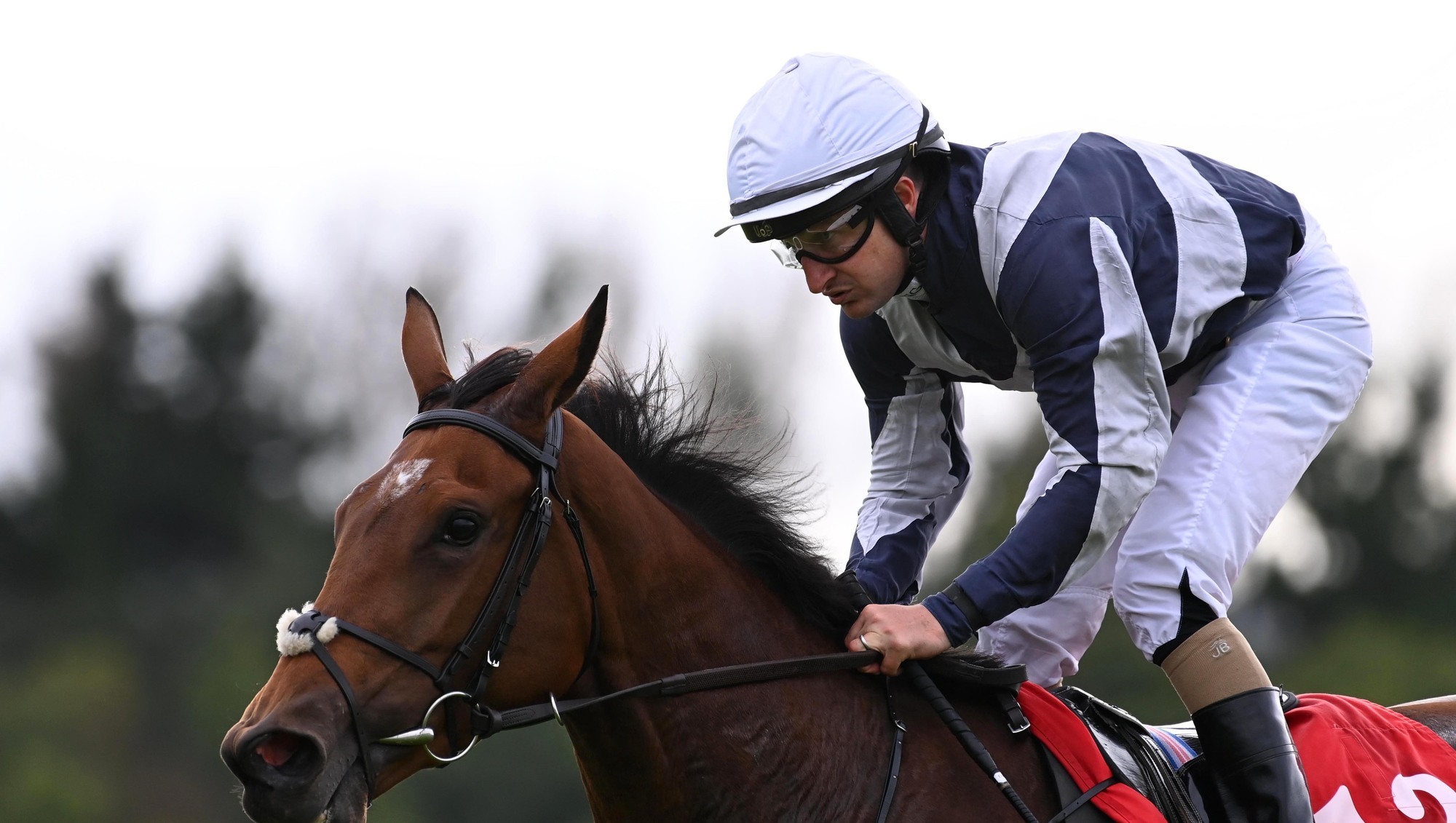 Foniska dominates from the front for Jessica Harrington at Cork 