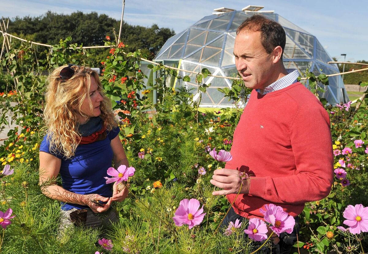 Peter Dowdall and horticulturalist Kitty Scully, at Voxpro, Mahon, Cork. Picture: David Keane