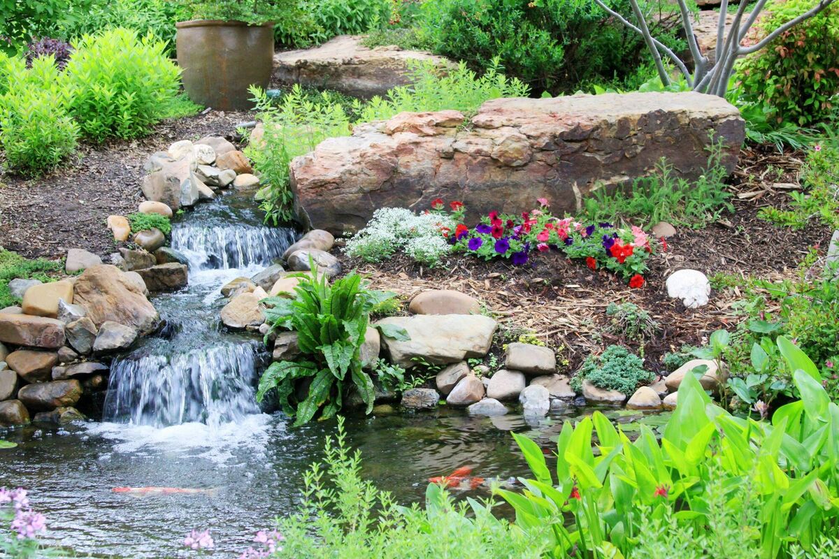Garden ponds act as miniature ecosystems and serve as breeding grounds for amphibians, insects, and other small animals. 