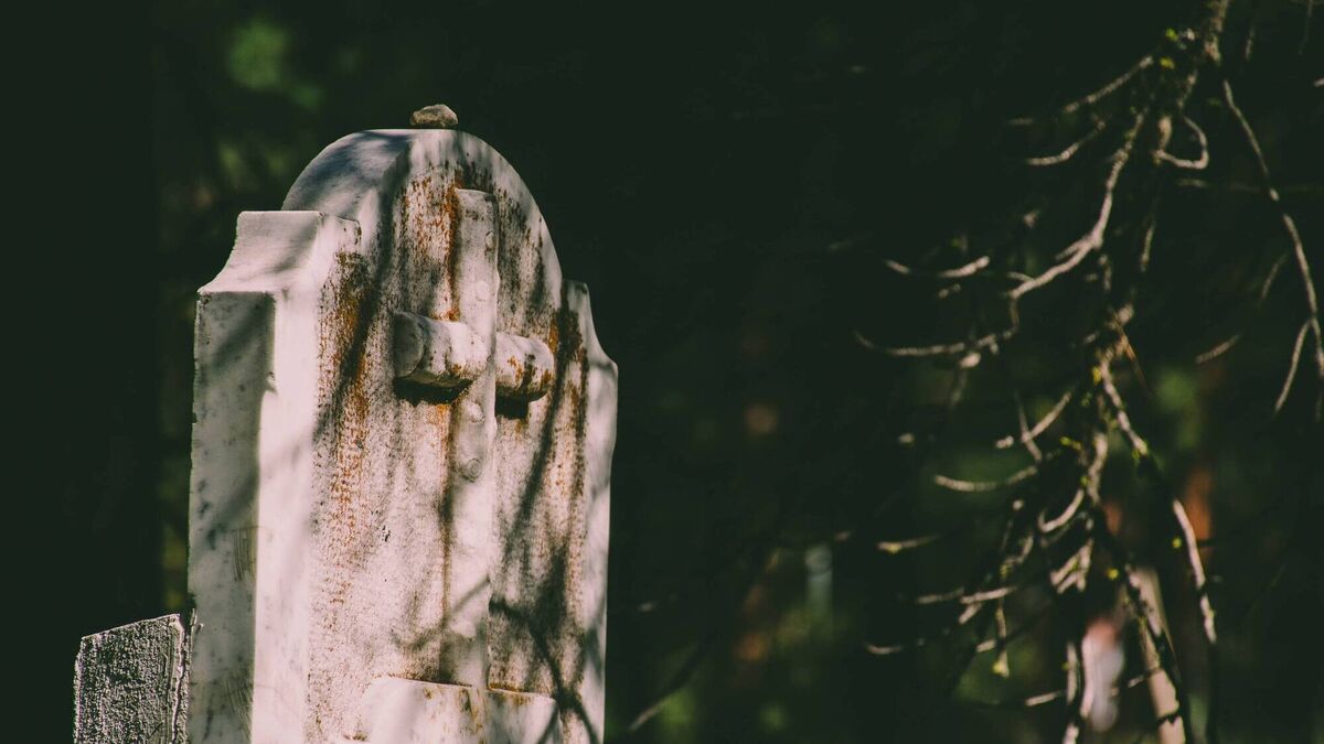 Grey hair, gold tooth, slim build: Why we need more information on Ireland's unidentified bodies - Vimarsana News