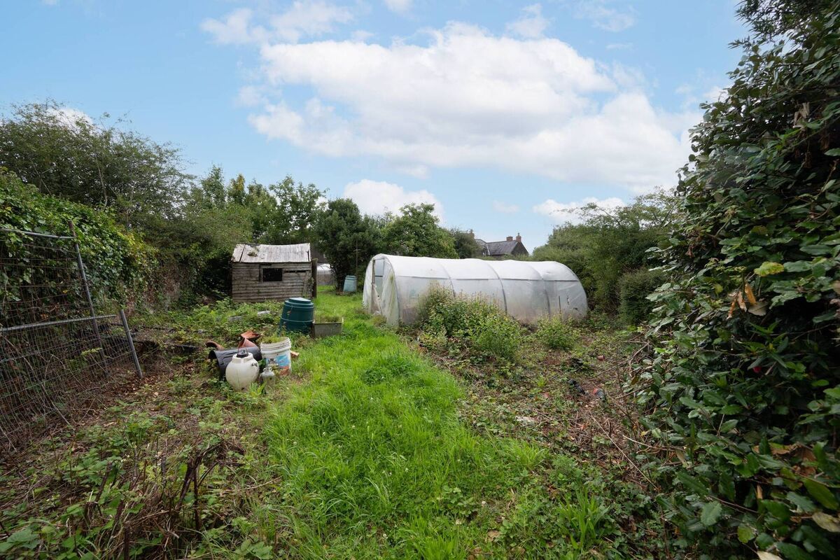 Back garden at 5 Wilton Villas. Agent Peter Skuse of Cahalane Skuse guides at €330,000, and says it's quite special