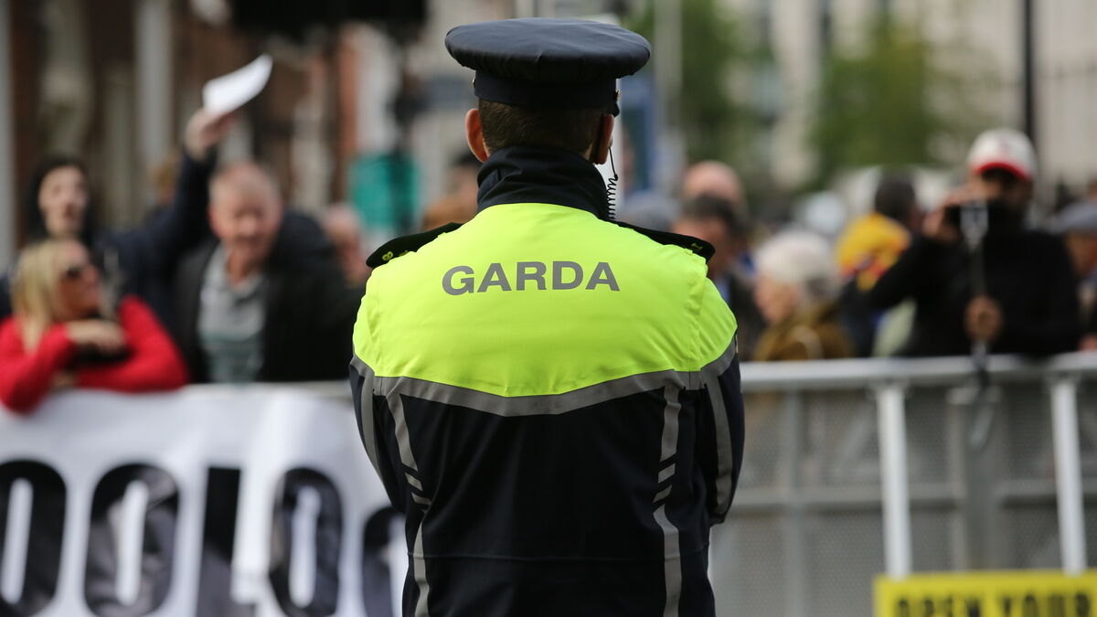 Gareth O'Callaghan: Far-right beliefs in Ireland might make for an interesting election - Vimarsana News