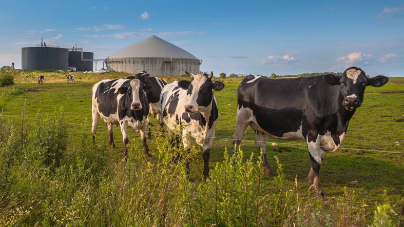 Policy 'must support the level of industry ambition' for biomethane