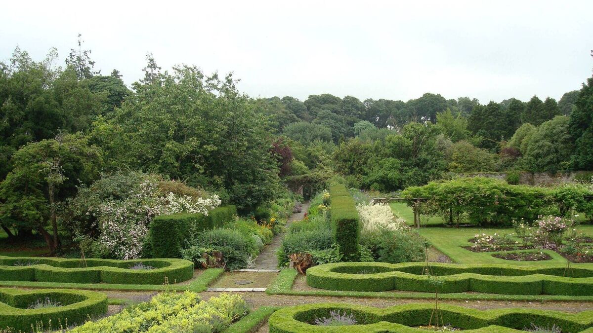 How a Cork family of garden lovers grew a horticultural haven - Vimarsana News