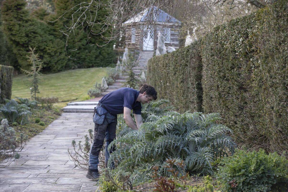 Colm O'Shea, head gardener, Annes Grove.