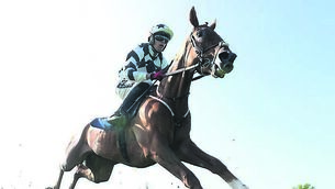 <p class="contextmenu internal_Caption">Hypotenus and Keith Donoghue on the way to winning the Xenon Security Maiden Hurdle at Gowran Park yesterday.</p>