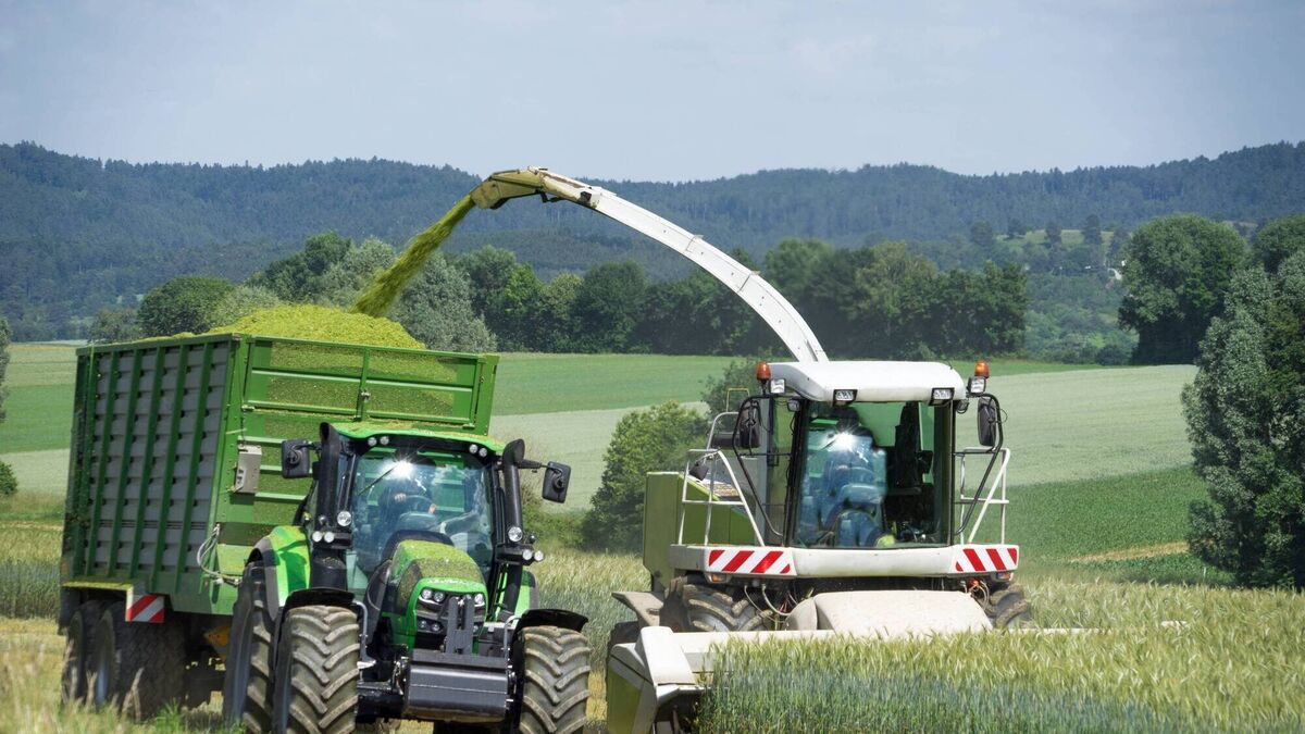 What responsibilities have I got for contractors on my farm? - Vimarsana News