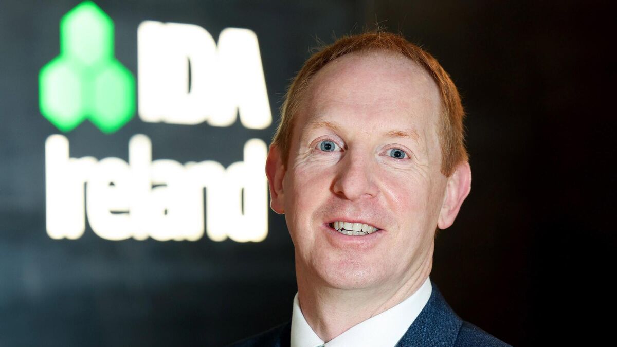 IDA chief forecasts continued growth for investment projects - Vimarsana News