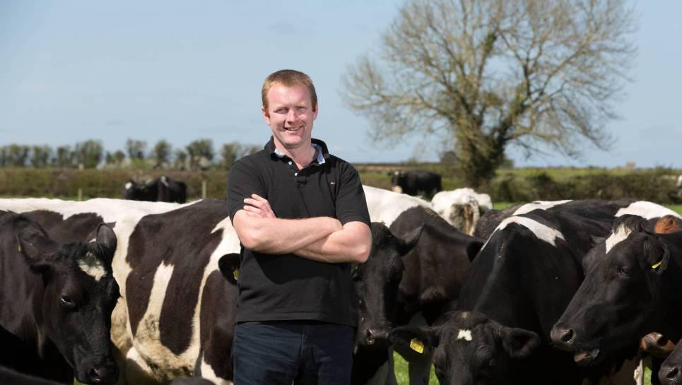 Denis Drennan on his farm in Madoxtown, Co Kilkenny. Pic: Dylan Vaughan.