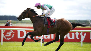 <p>CLASSIC SUCCESS: Westover enjoyed his finest hour when winning last year's Irish Derby. 	Picture: Niall Carson/PA</p>