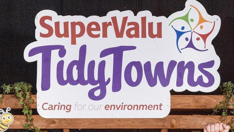 Ballincollig and Killarney pick up awards as Abbeyleix named Ireland's tidiest town Ballincollig and Killarney pick up awards as Abbeyleix named Ireland's tidiest town