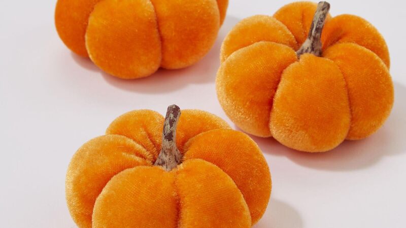 Save or Splurge? 'Posh pumpkin' picks for Halloween displays