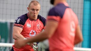<p>DIFFERENT SIDE: Keith Earls says Ireland are a different side now to the one that was coached by Joe Schmidt. Pic: INPHO/Dan Sheridan</p>
