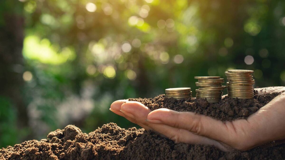 Budget 2024: Key measures for farmers in this year's round-up - Vimarsana News