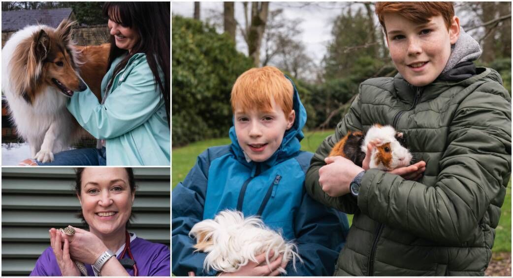 Peataí. Top left: Ursula Savage with Jess; bottom left: vet Ellen Hegarty with a gecko; main pic: Joe and Tom with guinea pigs Amber and Xana. Peataí. Top left: Ursula Savage with Jess; bottom left: vet Ellen Hegarty with a gecko; main pic: Joe and Tom with guinea pigs Amber and Xana.