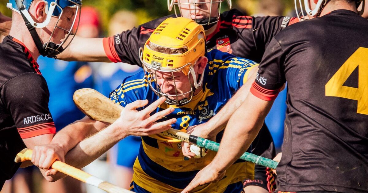 Can another firsttimer succeed in expanded Harty Cup?