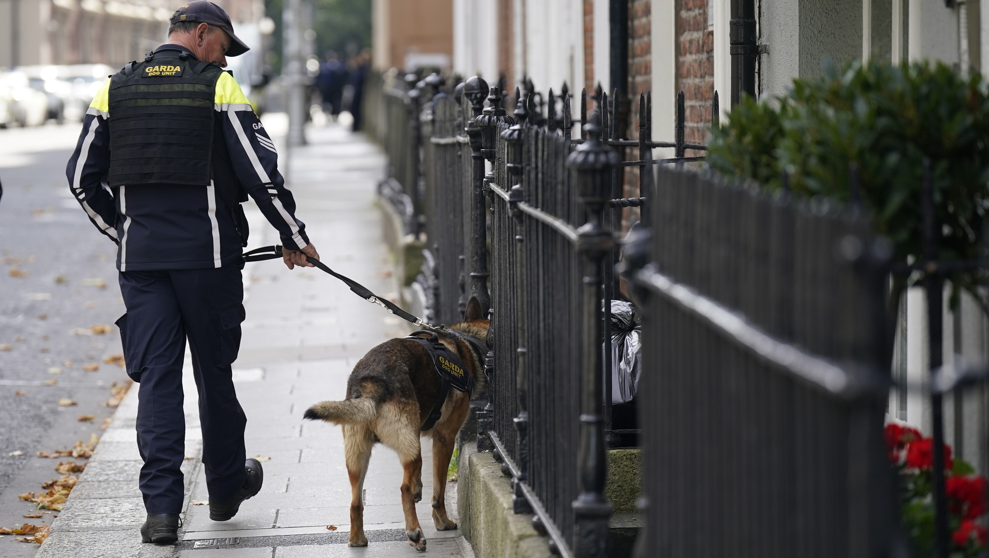 Arrest made over entry to Government Buildings amid extra Budget Day security