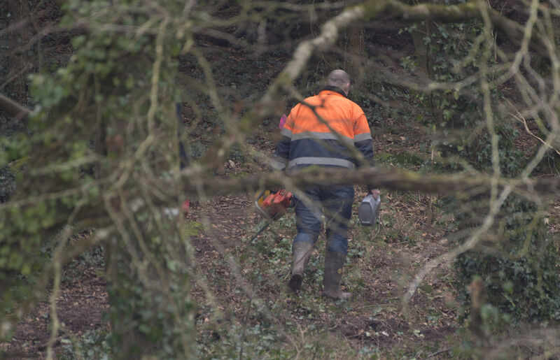 The search at Mitchell’s Wood in Castlemartyr, Co Cork, where Gardai are conducting a search for clues in the disappearance of Tina Satchwell. Picture: Dan Linehan The search at Mitchell’s Wood in Castlemartyr, Co Cork, where Gardai are conducting a search for clues in the disappearance of Tina Satchwell. Picture: Dan Linehan