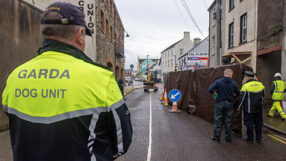 Forensic search and excavation continue in Satchwell house - Vimarsana News